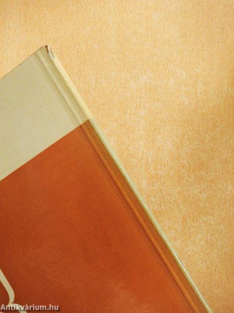 Építőkockák-épületkockák