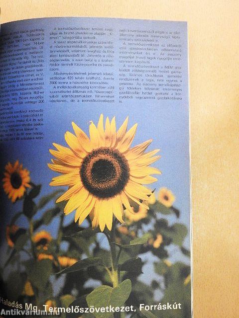 Szegedi fesztivál magazin '86