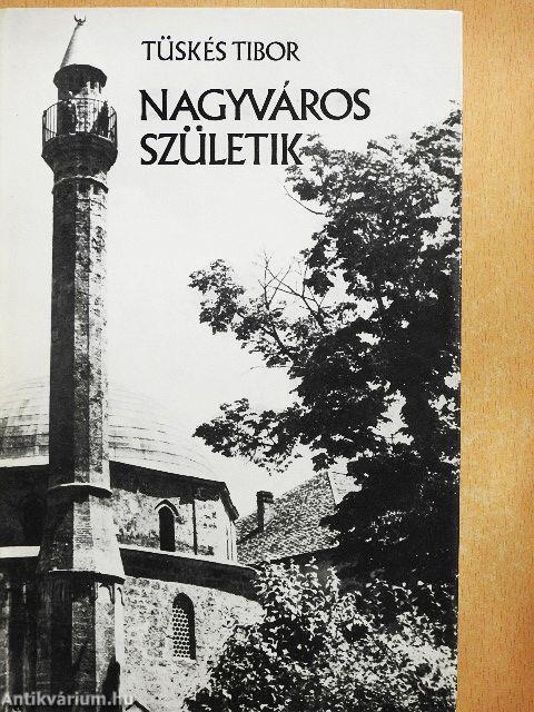 Nagyváros születik