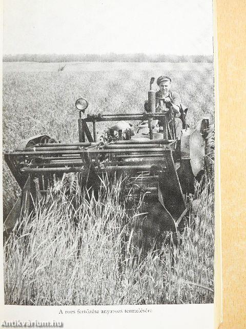 Gyógyító növények