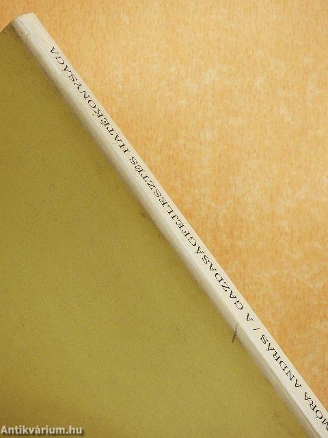 A gazdaságfejlesztés hatékonysága