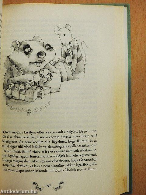 Rumini és a négy jogar