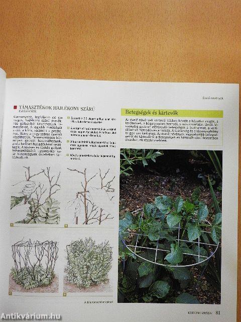 A kertészkedés nagykönyve