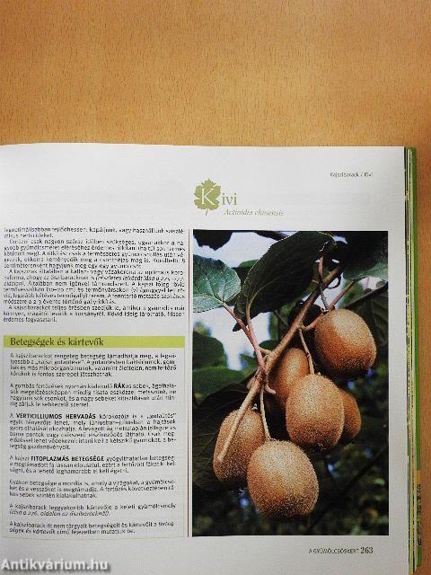 A kertészkedés nagykönyve