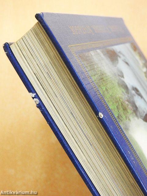 Varázslatos Föld körüli utazás