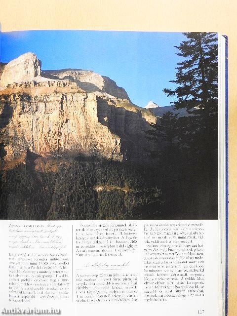 Varázslatos Föld körüli utazás