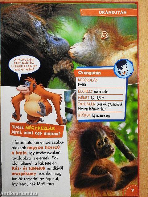 Disney Állati Szafari 1.