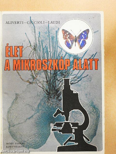 Élet a mikroszkóp alatt