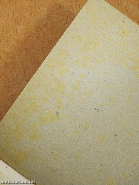 Az elveszett paradicsom