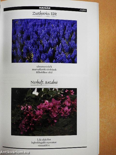 Napút 2018. március