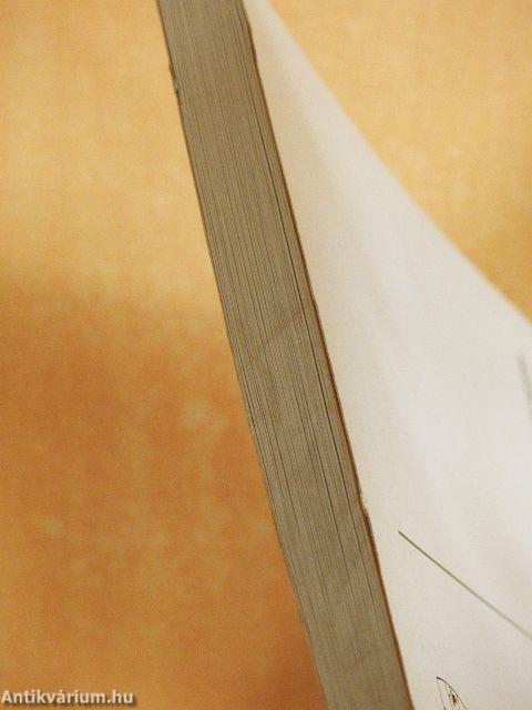 A települési infrastruktúra geográfiája