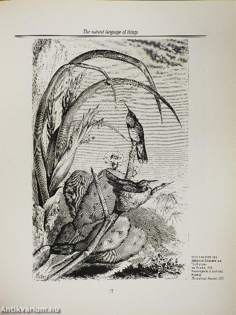 Muschelherz und Finkenschlag