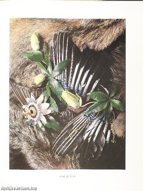 Muschelherz und Finkenschlag