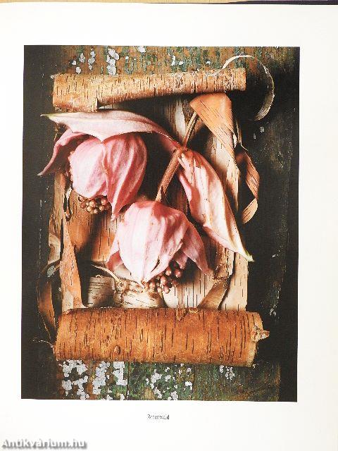 Muschelherz und Finkenschlag