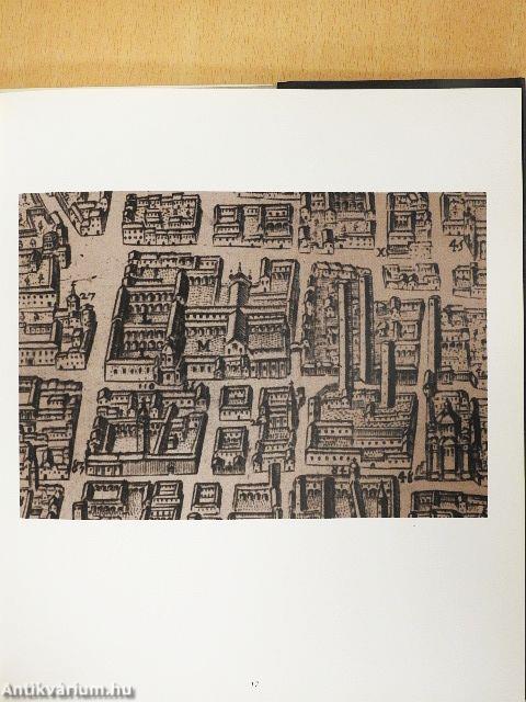 "Alma Ticinensis Universitas"