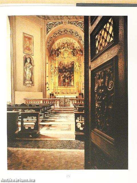 "Alma Ticinensis Universitas"