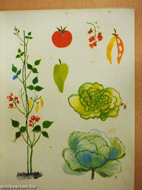 Én kis kertet kerítek