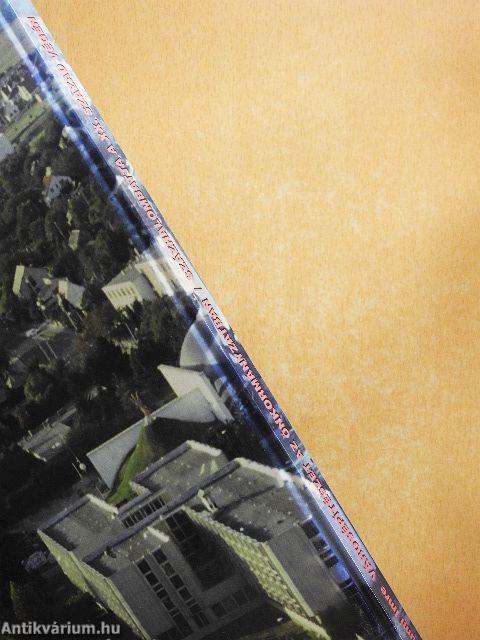 Városépítészet az önkormányzatban - Százhalombatta a XX. század végén