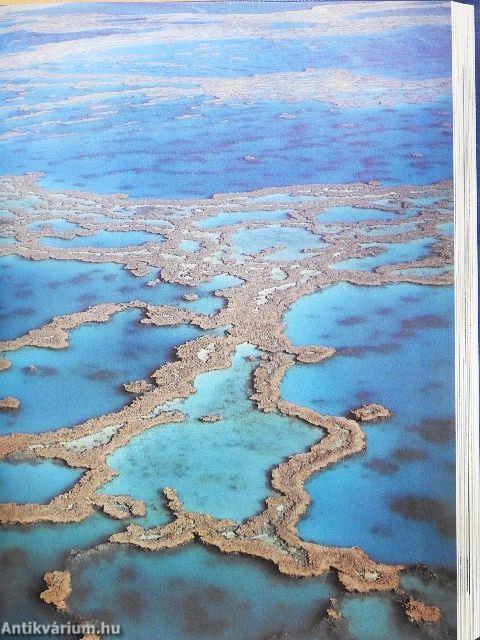 Varázslatos Föld körüli utazás