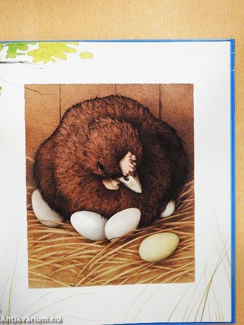 Kacsa Karcsi vacsorája