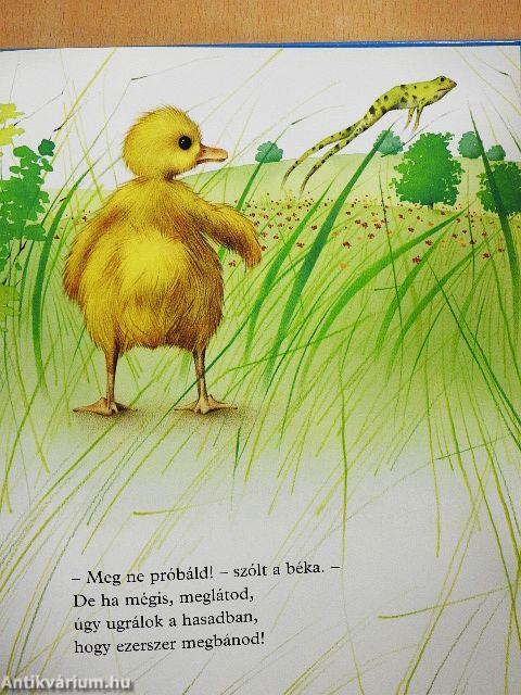 Kacsa Karcsi vacsorája