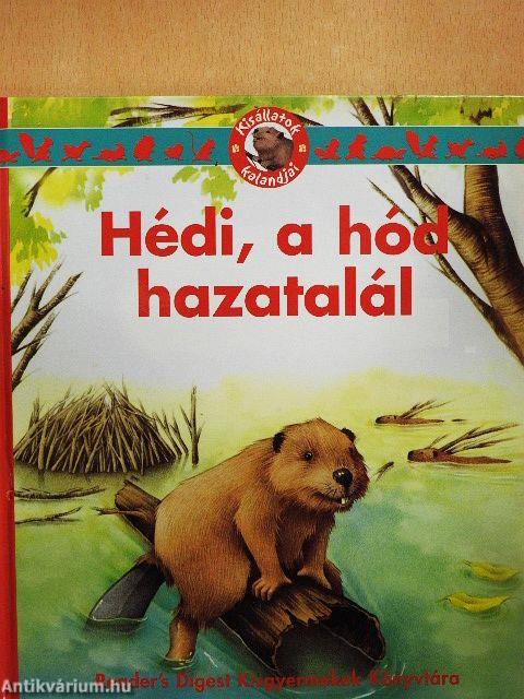 Hédi, a hód hazatalál