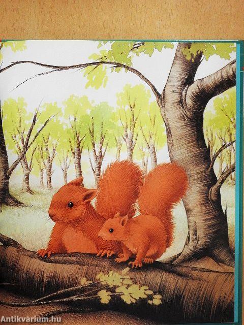 Hédi, a hód hazatalál