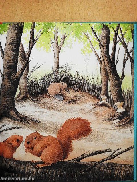 Hédi, a hód hazatalál