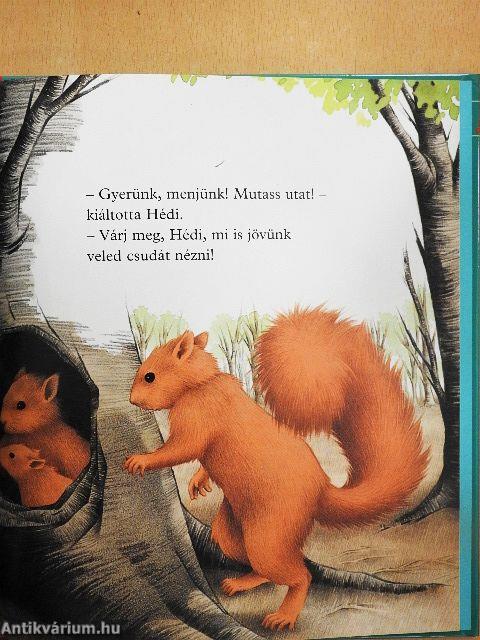 Hédi, a hód hazatalál