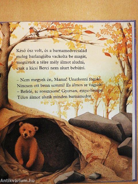 Berci mackó barátkozik