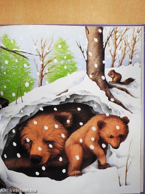 Berci mackó barátkozik