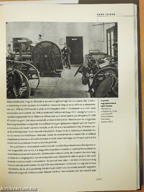 Sokszínű kapitalizmus