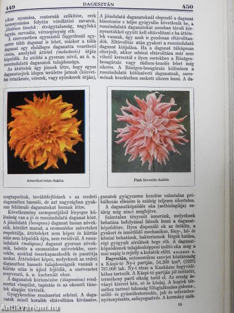 Gutenberg Nagy Lexikon 1-10.