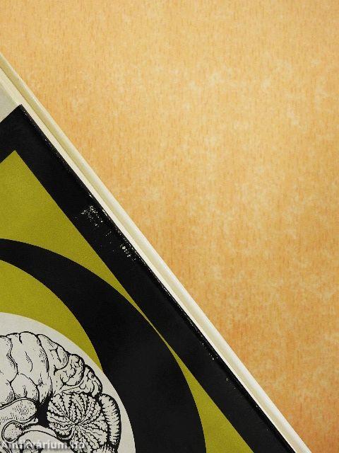 Az agyvelő boncolása