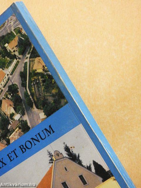 Szentendrei Ferences Gimnázium 1950-1990