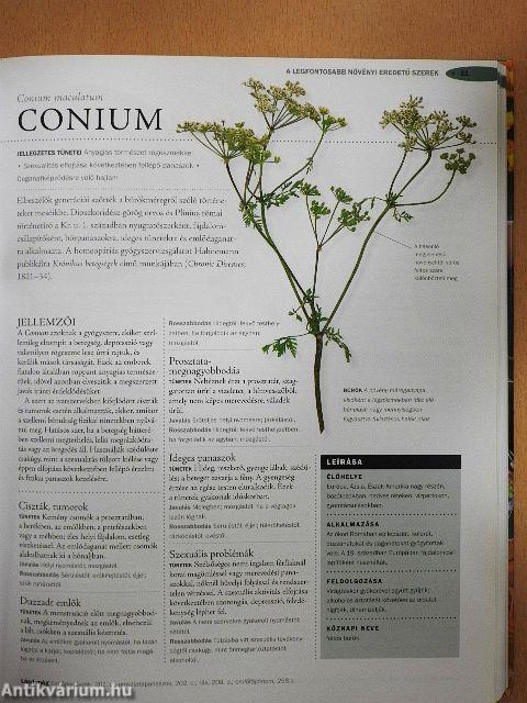 A homeopátia enciklopédiája