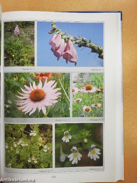 A homeopátia kézikönyve