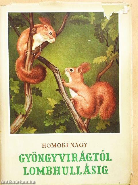 Gyöngyvirágtól lombhullásig