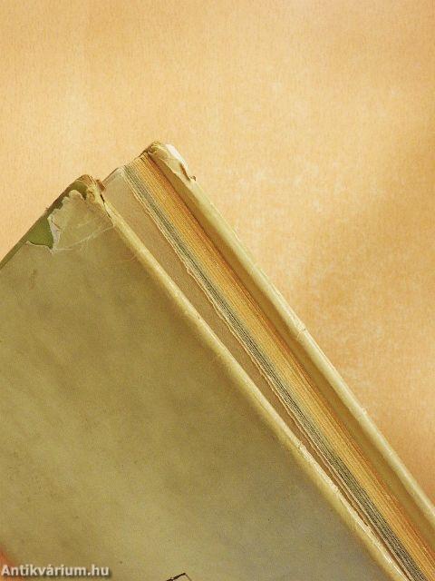 Gyöngyvirágtól lombhullásig