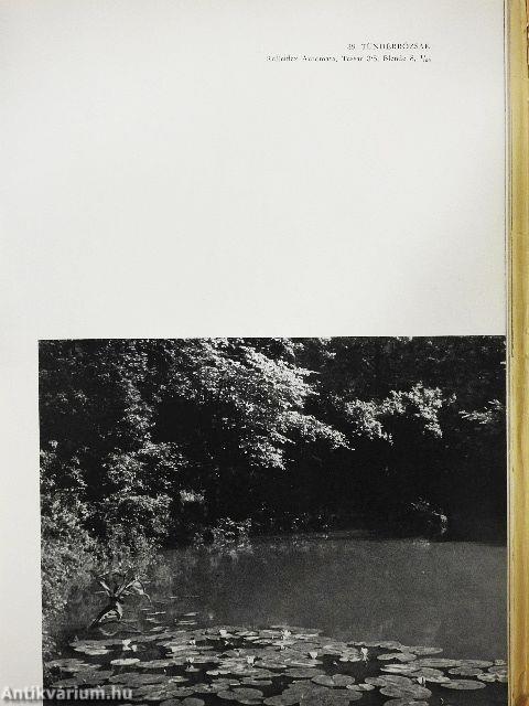 Gyöngyvirágtól lombhullásig