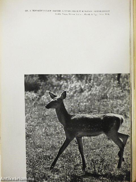 Gyöngyvirágtól lombhullásig