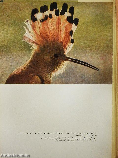 Gyöngyvirágtól lombhullásig