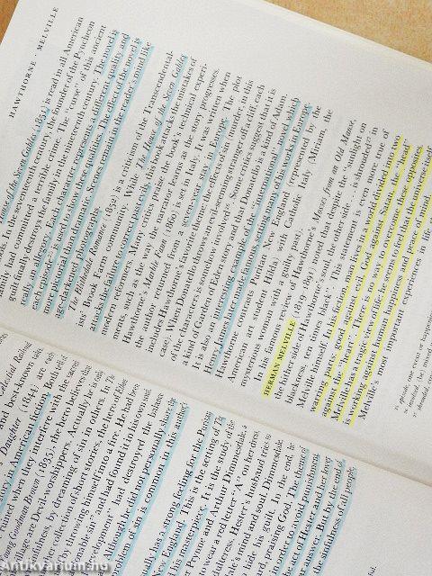 An Outline of American Literature