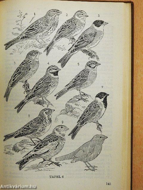 Exkursionsfauna von Deutschland III.