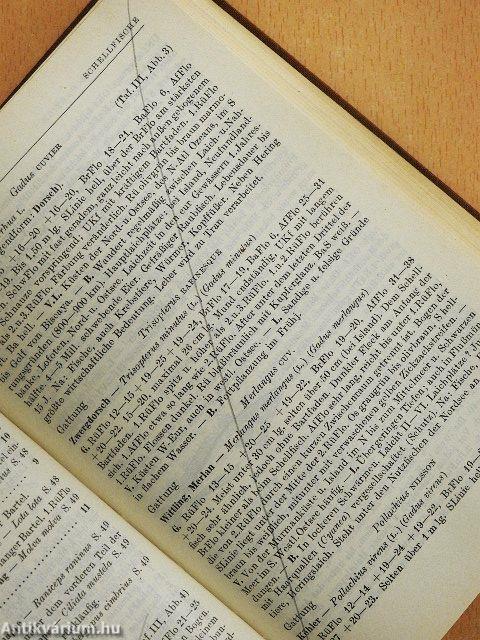 Exkursionsfauna von Deutschland III.