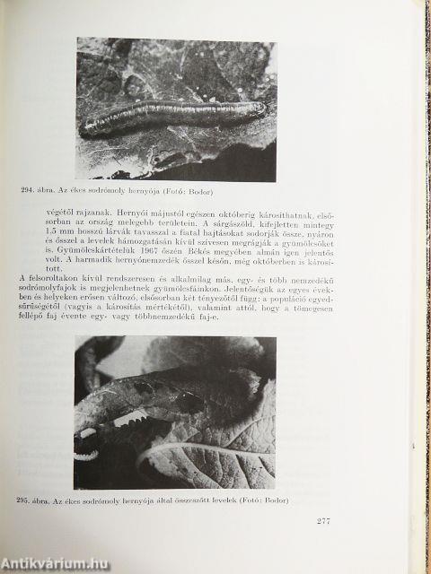 Gyümölcsfák védelme