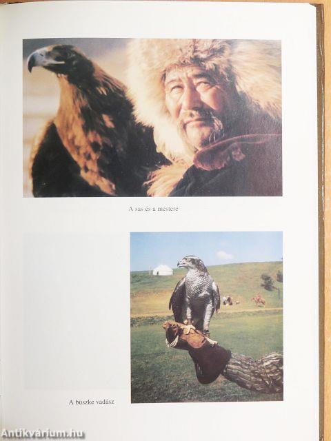 A Sólyom embere útjai