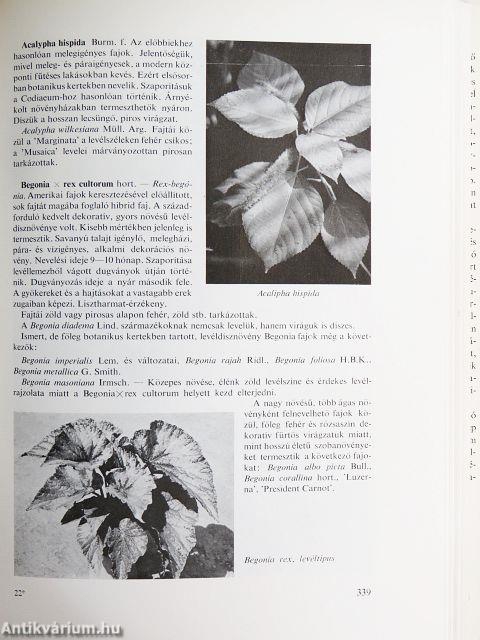 Dísznövénytermesztés