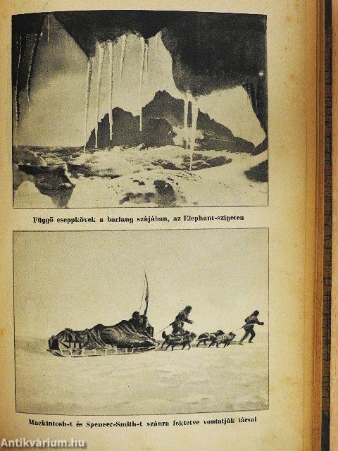 A déli sark hajótöröttjei