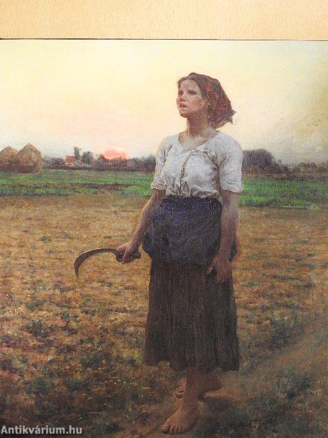 Rizsporos hétköznapok - Női életutak és mindennapok a történelemben